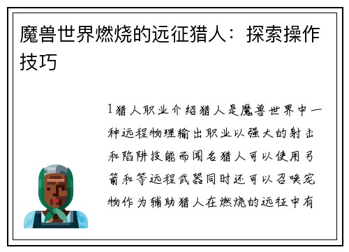 魔兽世界燃烧的远征猎人：探索操作技巧